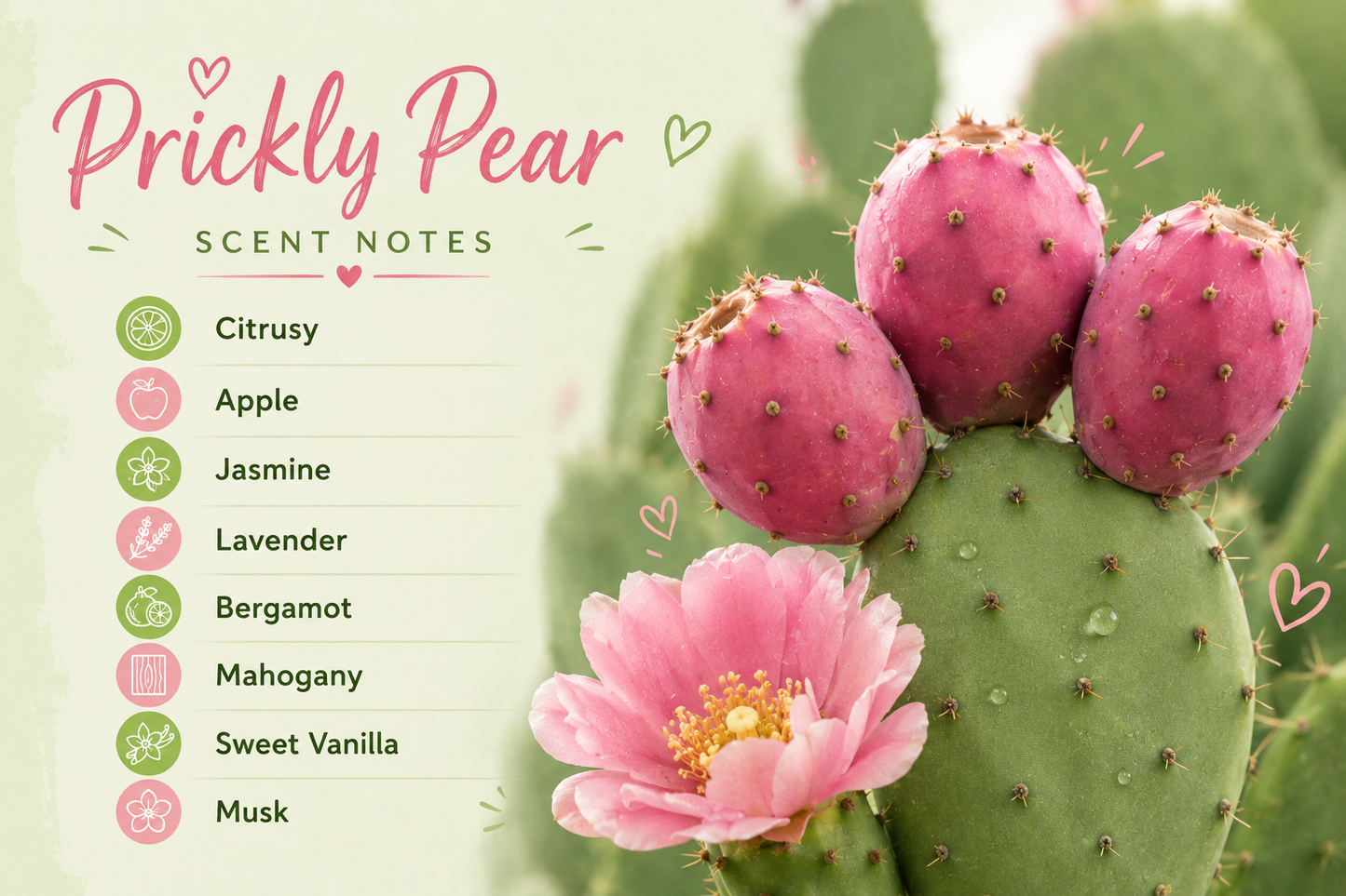 Prickly Pear