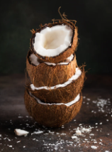 Mahogany Coconut Type